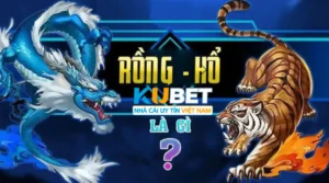 Rồng hổ Kubet